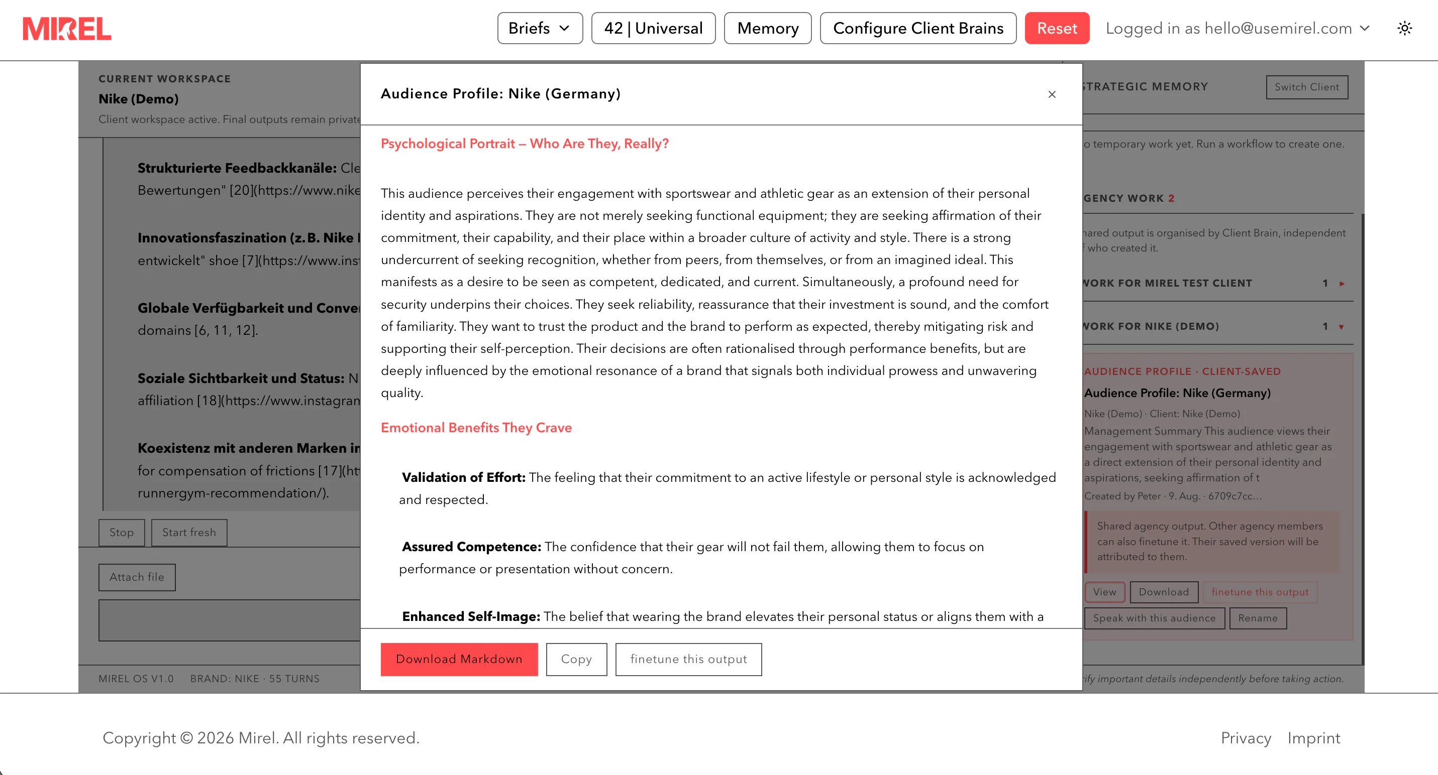 Mirel audience profile showing strategic audience tensions for Nike Demo